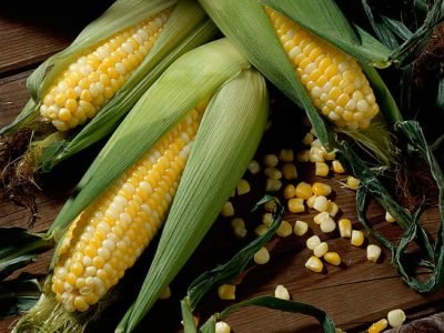 grain-corn-the-cob-maize-hd-wallpaper-preview
