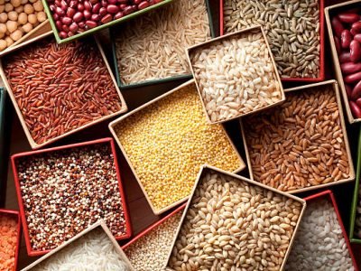 Varieties of grains seeds and beans.